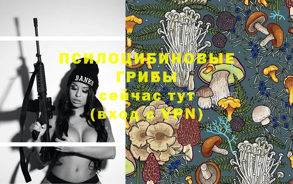 МДПВ Бронницы
