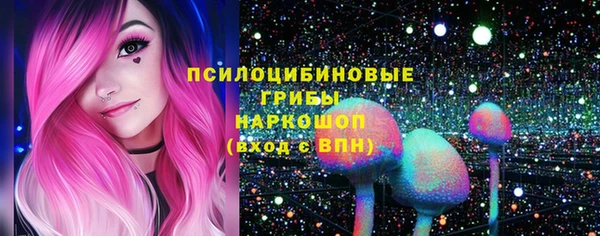 марки lsd Бородино