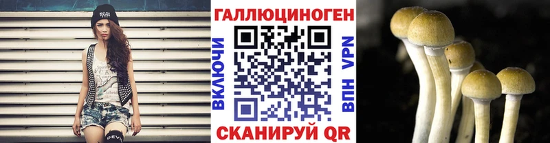 купить наркотик  Нариманов  Псилоцибиновые грибы GOLDEN TEACHER 